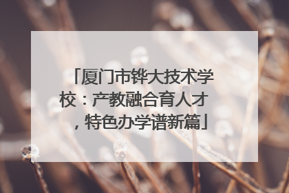 厦门市铧大技术学校：产教融合育人才，特色办学谱新篇