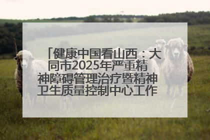 健康中国看山西：大同市2025年严重精神障碍管理治疗暨精神卫生质量控制中心工作培训班开班