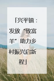 兴平镇：发放“致富羊”助力乡村振兴启新程