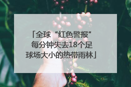 全球“红色警报”  每分钟失去18个足球场大小的热带雨林