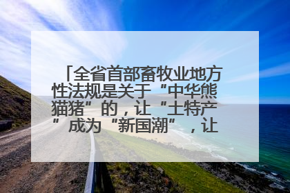 全省首部畜牧业地方性法规是关于“中华熊猫猪”的，让“土特产”成为“新国潮”，让“农产品”升格为“城市IP”