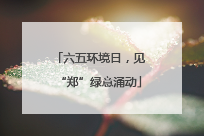 六五环境日，见“郑”绿意涌动