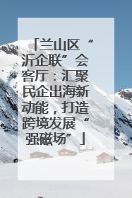 兰山区“沂企联”会客厅：汇聚民企出海新动能，打造跨境发展“强磁场”