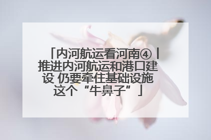 内河航运看河南④丨推进内河航运和港口建设 仍要牵住基础设施这个“牛鼻子”