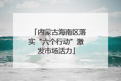 内蒙古海南区落实“六个行动”激发市场活力