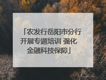 农发行岳阳市分行开展专题培训 强化金融科技保障