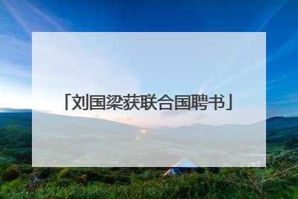 刘国梁获联合国聘书