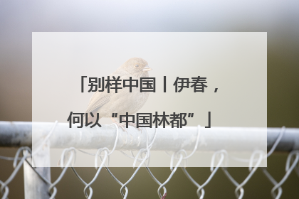 别样中国丨伊春，何以“中国林都”