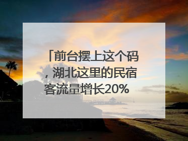 前台摆上这个码，湖北这里的民宿客流量增长20%｜湖北市场监管所的故事