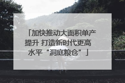 加快推动大面积单产提升 打造新时代更高水平“洞庭粮仓”