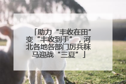 助力“丰收在田”变“丰收到手”，河北各地各部门厉兵秣马迎战“三夏”