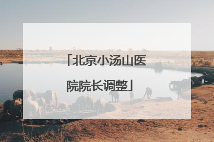 北京小汤山医院院长调整