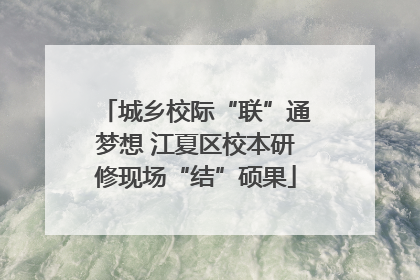 城乡校际“联”通梦想 江夏区校本研修现场“结”硕果
