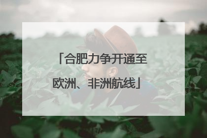 合肥力争开通至欧洲、非洲航线