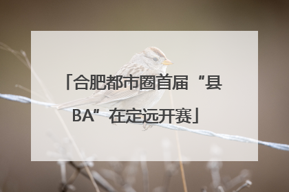 合肥都市圈首届“县BA”在定远开赛