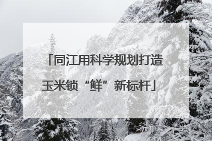 同江用科学规划打造玉米锁“鲜”新标杆