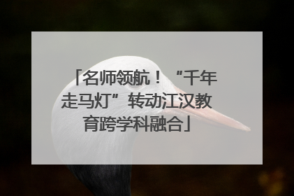 名师领航！“千年走马灯”转动江汉教育跨学科融合