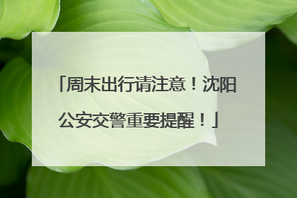 周末出行请注意！沈阳公安交警重要提醒！