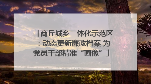 商丘城乡一体化示范区：动态更新廉政档案 为党员干部精准“画像”