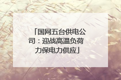 国网五台供电公司：迎战高温负荷 力保电力供应