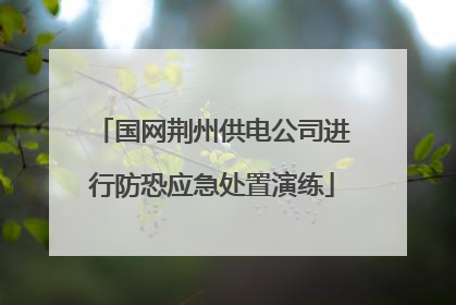国网荆州供电公司进行防恐应急处置演练