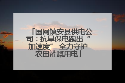 国网镇安县供电公司：抗旱保电跑出“加速度” 全力守护农田灌溉用电