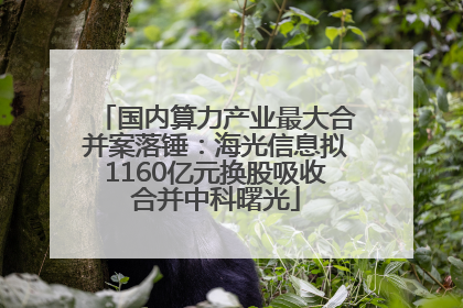 国内算力产业最大合并案落锤：海光信息拟1160亿元换股吸收合并中科曙光