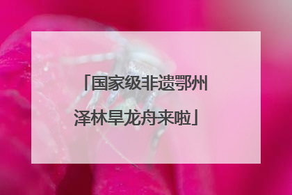 国家级非遗鄂州泽林旱龙舟来啦