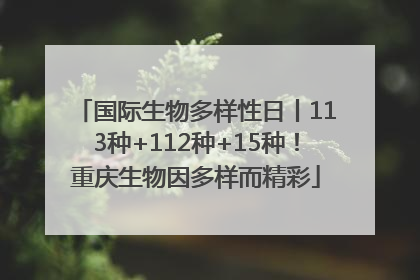 国际生物多样性日丨113种+112种+15种！重庆生物因多样而精彩