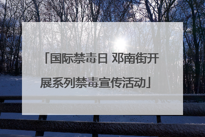 国际禁毒日 邓南街开展系列禁毒宣传活动