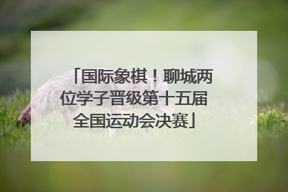 国际象棋！聊城两位学子晋级第十五届全国运动会决赛