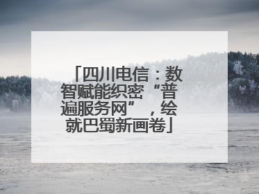 四川电信：数智赋能织密“普遍服务网”，绘就巴蜀新画卷