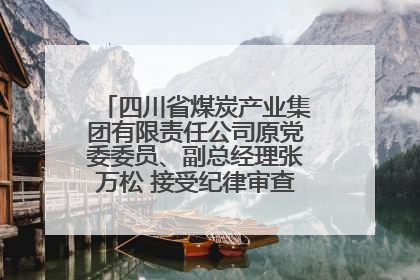 四川省煤炭产业集团有限责任公司原党委委员、副总经理张万松 接受纪律审查和监察调查