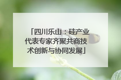 四川乐山：硅产业代表专家齐聚共商技术创新与协同发展
