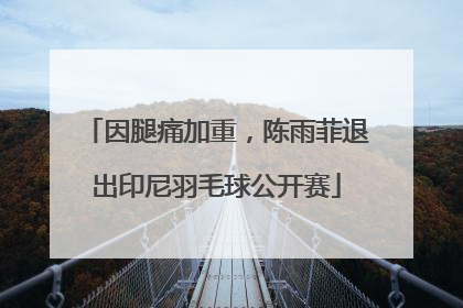 因腿痛加重，陈雨菲退出印尼羽毛球公开赛