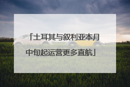 土耳其与叙利亚本月中旬起运营更多直航