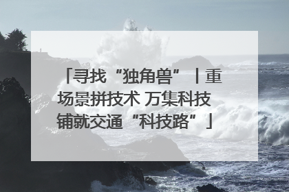 寻找“独角兽”丨重场景拼技术 万集科技铺就交通“科技路”