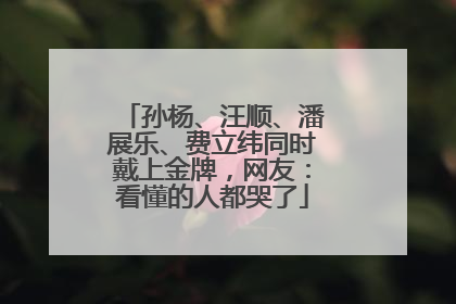孙杨、汪顺、潘展乐、费立纬同时戴上金牌，网友：看懂的人都哭了
