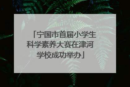 宁国市首届小学生科学素养大赛在津河学校成功举办