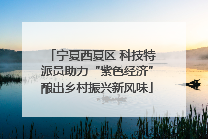 宁夏西夏区 科技特派员助力“紫色经济”酿出乡村振兴新风味