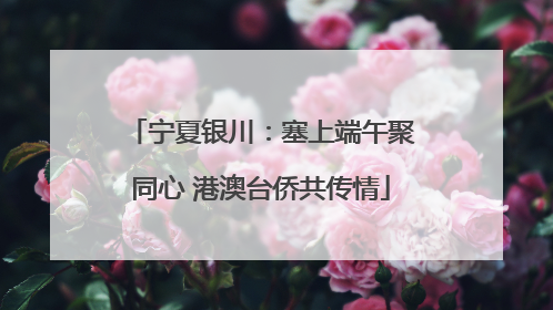宁夏银川：塞上端午聚同心 港澳台侨共传情