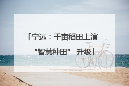 宁远：千亩稻田上演 “智慧种田” 升级