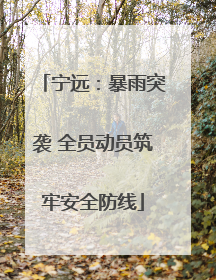 宁远：暴雨突袭 全员动员筑牢安全防线