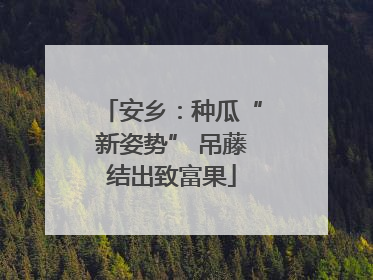 安乡：种瓜“新姿势” 吊藤结出致富果