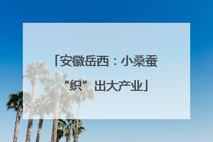 安徽岳西：小桑蚕“织”出大产业