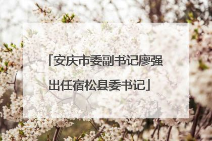 安庆市委副书记廖强出任宿松县委书记