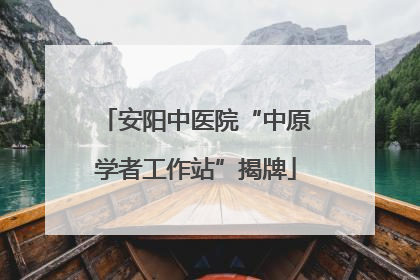安阳中医院“中原学者工作站”揭牌