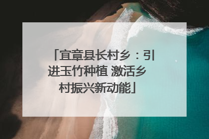 宜章县长村乡：引进玉竹种植 激活乡村振兴新动能
