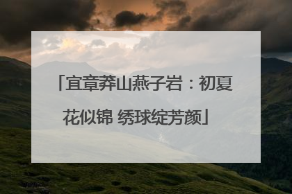 宜章莽山燕子岩：初夏花似锦 绣球绽芳颜