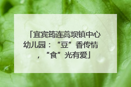 宜宾筠连蒿坝镇中心幼儿园：“豆”香传情，“食”光有爱